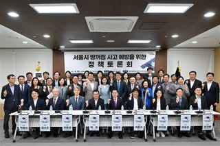 서울시 땅꺼짐 사고 예방을 위한 정책 토론회
