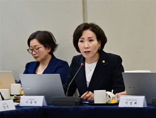 시의회 -서울시 시정현안설명회